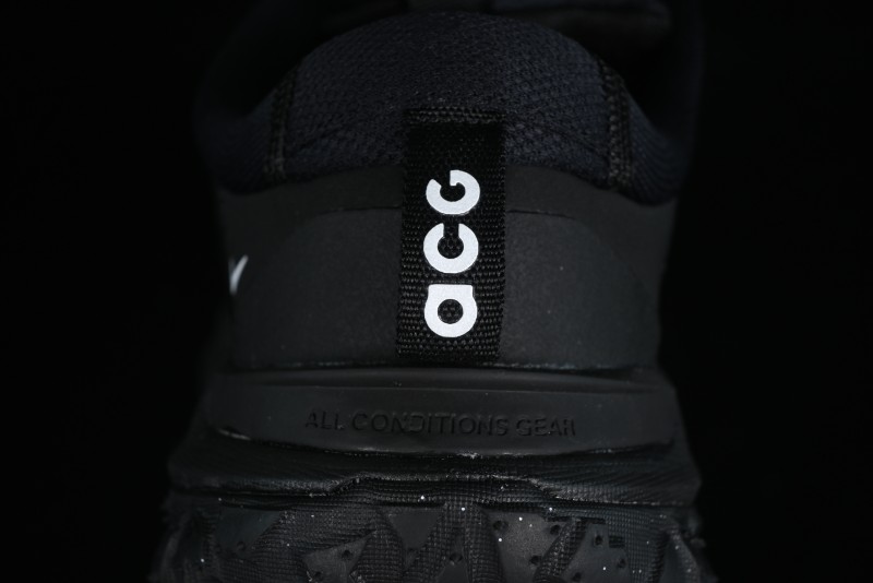 Nike ACG Mountain Fly 2 Low SP Outdoor Hiking Shoes with GORE-TEX and React Foam - FZ3311-001