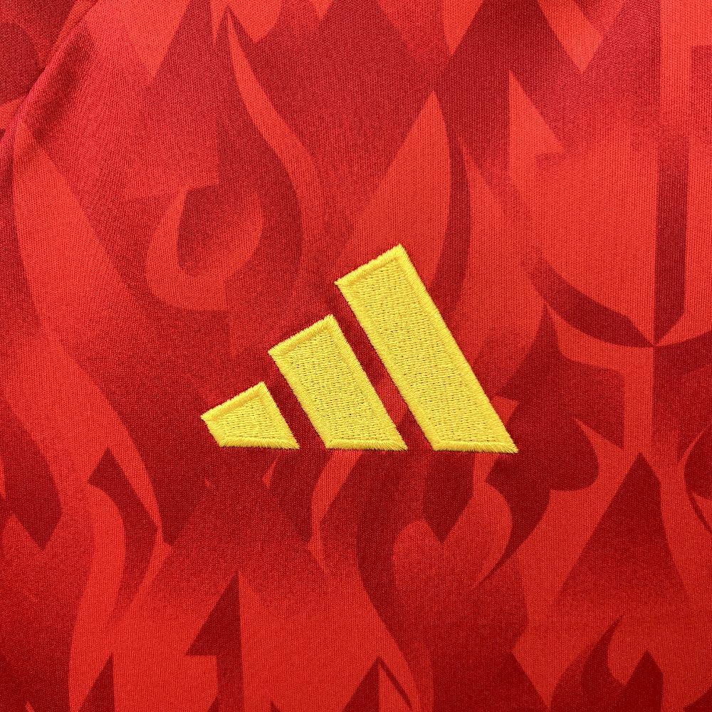 2025/26 Mens Belgium Home Jersey